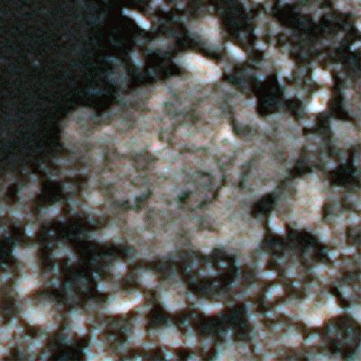 Transparencies... (a GIF-Movie by Elisabetta Bonora and Marco Faccin - Lunexit Team)
nessun commento
Parole chiave: GIF-Movies - Pebbles - Controversial