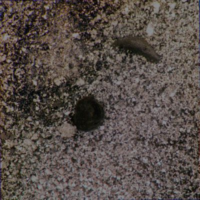 Possible Indigenous Lifeform? - Sol 1967 (Superdefinition; credits: Dr M. Faccin)
nessun commento
Parole chiave: Microscopic Imager - Extremely Controversial Feature - The "Snail"