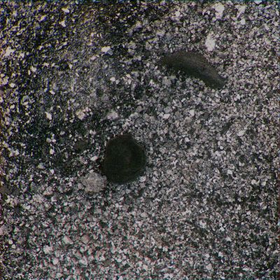 Possible Indigenous Lifeform? - Sol 1967 (Superdefinition; credits: Dr M. Faccin)
nessun commento
Parole chiave: Microscopic Imager - Extremely Controversial Feature - The "Snail"