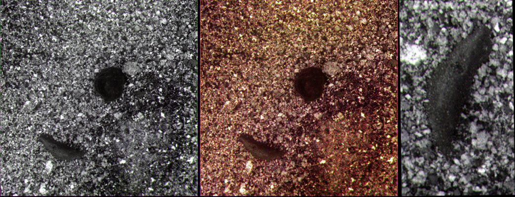 Rectangle? - Sol 1967 (Superdefinition; credits: Dr M. Faccin)
nessun commento
Parole chiave: Microscopic Imager - Controversial