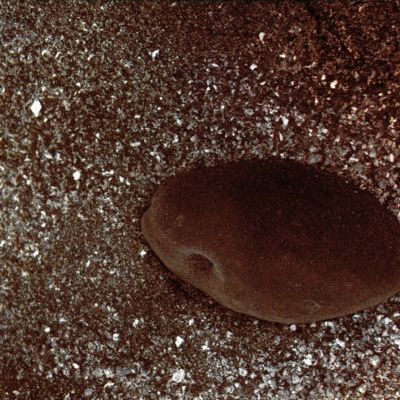 Pebble? - Sol 1979 (Enhanced Natural Colors; credits: Lunexit)
nessun commento
Parole chiave: Microscopic Imager - Pebble