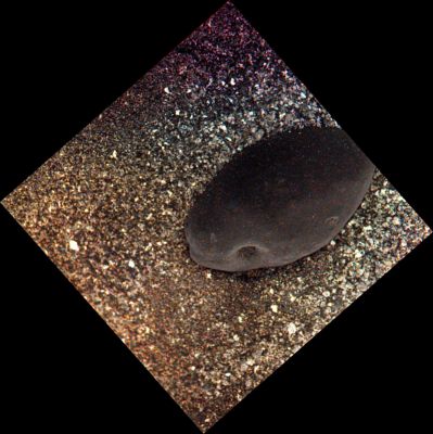 Pebble? - Sol 1979 (Enhanced True Colors; credits: Dr M. Faccin)
nessun commento
Parole chiave: Microscopic Imager - Pebble