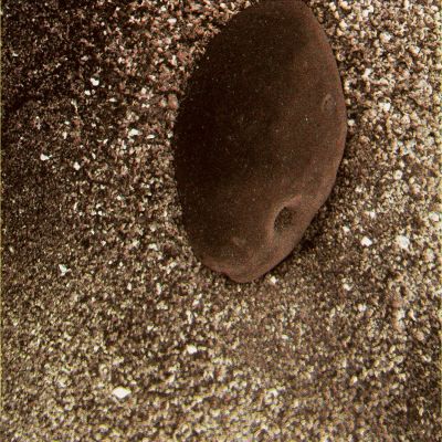 Possible Fossilized Indigenous Organism - Sol 1979 (Superdefinition; credits for the additional process. and color.: Dr Gianluigi Barca)
nessun commento
Parole chiave: Microscopic Imager - Pebble and Dust - Controversial