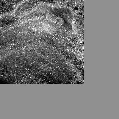 Enygma - Sol 2006 (GIF-Movie; credits: Dr M. Faccin)
Il difetto di frames ottenuti con i necessari Filtri (o meglio: la mancata pubblicazione di alcuni - e necessari - frames) ci impedisce l'effettuazione di una colorizzazione esatta (rectius: rigorosa, in Colori naturali), ma non importa: il curioso tracciato/rilievo che si disegna sulle sottili sabbie di Gusev resta comunque - almeno a nostro parere - un qualcosa di non completamente chiaro.

E' il "Marchio" dello Spettrometro Mossbauer? 
Si e no. 
Il disegno ha qualcosa del Mossbauer's Mark, ma non è esattamente il "solito " Mossbauer's Mark che vediamo da anni.

E' allora la traccia di una "fresatura" fatta con il RAT? 
Si e no. 
Fresare la sabbia a noi pare impossibile, a meno che - al di sotto della sabbia - non vi sia della roccia (relativamente) friabile da intaccare. E forse questo è quanto accaduto. 
O forse no.

In realtà, la modalità di formazione del "disegno" potrebbe anche essere il prodotto dello slittamento di uno dei ruotini del Rover (il Rover ha scavato innumerevoli mini-trincee usando le proprie ruote), ed anche per questa eventualità abbiamo alcuni "segni" che ci dicono "si, è possibile", ed altri che dicono l'esatto contrario.

Il "disegno" è senz'altro il prodotto di un evento "traumatico" per il suolo, e la prova di questa circostanza la possiamo trovare non solo nella leggera deformazione dei dintorni del rilievo (una deformazione che ci è possibile cogliere osservando attentamente la GIF), ma anche nell'evidente "schizzare" di granuli di sabbia e, forse, di frammenti di roccia, nelle aree più esterne della zona inquadrata (e questo particolare è visibile per l'intera durata del filmato).

Altro, visti i dati in nostro possesso, non ci è possibile dire. 

Complimenti al Grande Marco Faccin per questo intrigantissimo Lavoro, il quale è stato eseguito usando SOLO FRAMES NASA-ORIGINAL. 
E quest'ultima precisazione ci sembra doverosa.
Parole chiave: GIF-Movie