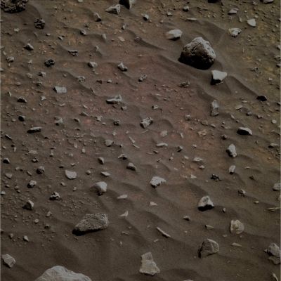 Pebbles and small Sandy Dunes near Spirit - Sol 2081 (Natural Colors; credits: Dr G. Barca)
nessun commento
Parole chiave: Martian Surface - Small Rocks, Pebbles and Dust