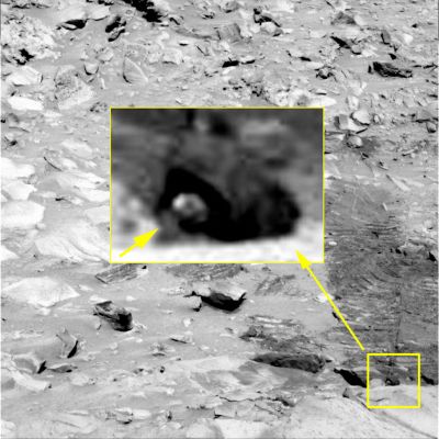 Is Anybody Out There??? - Sol 213 (an Image-Mosaic by Ivana Tognoloni - Lunexit Team)
La "Casualità", in Natura, secondo alcuni è la Regola, secondo altri, l'Eccezione. A nostro modo di vedere, però, quale che sia la posizione prediletta, una cosa è certa: la Casualità, proprio perchè tale (e sia che Essa sia Regola od Eccezione), tende a configurarsi e risolversi nell'Unicità. 
E comunque, se una ripetizione avviene, essa costituisce (deve costituire) un evento del tutto eccezionale, peculiare e sporadico.

Ora, grazie al Lavoro ed all'"Occhio" della nostra Amica e Partner, Ivana Tognoloni, abbiamo l'ennesima opportunità di mostrarVi un rilievo che il definire "controverso" - e RIPETITIVO - è davvero dire poco. 
La situazione è semplice: abbiamo una roccia (o un "guscio", se Vi piace di più) a forma di "uovo" o di "tettoia" da dentro/sotto il quale una forma, tanto inesplicabil ed indefinita, quanto bizzarra ed antropomorfa, pare affacciarsi per scrutare i suoi dintorni.

In questo caso specifico - come meglio vedrete nell'EDM che segue - il dettaglio controverso ci rammenta la testa di un colubro il quale, per ironia della Sorte (e delle ombre?), ci mostra anche l'esistenza di una sorta di cavità posta sulla sua porzione "frontale" (la sua "testa") la quale non può non lasciar pensare che si tratti di un "occhio".

Pareidolia? Fantasia? Svista?

Se fosse il primo o il secondo caso, non avremmo dubbi al riguardo ed opteremmo per la spiegazione più ovvia e razionale del dettaglio, ma...Ma questa Surface Feature è ormai un elemento RIPETITIVO di svariati panorami Marziani (Regione di Gusev Crater) e quindi noi, da buoni Cultori della Scienza Borderline, il dubbio che si possa anche trattare di un qualcosa di "Esotico", a nostro umile parere, dobbiamo avanzarlo e tenerlo - quanto meno - in considerazione.

Ai Posteri, poi, l'Onore e l'Onere di dare una risposta definitiva...
Parole chiave: Martian Surface - Controversial Surface Feature - The "Snake"