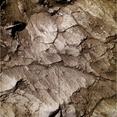 The "Metal Bar", on Mars... - Sol 226 (possible True Colors; credits: Dr G. Barca)
nessun commento
Parole chiave: Martian Surface - Extremely Controversia Surface Feature - The "Bar"