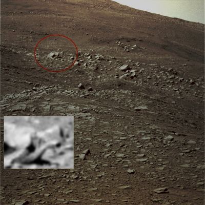 Martian Trunk? - Sol 229 (credits: Dr G. Barca)
Una "roccia" a forma di "proboscide"? Si, su Marte sembra che anche questa eventualità sia possibile. Anzi, più che possibile: reale!

Grandi complimenti al Dr Barca che ha evidenziato l'incredibile dettaglio il quale, come ovvio, è "sfuggito" non solo alla NASA (e sin lì...nihil sub Sole novi!), ma anche a tutti gli Anomaly Hunter del resto del Mondo...

Che dite, quindi? Che ne pensate di questa Surface Feature? E' più o meno intrigante delle (sempre presunte) Rovine di Cydonia?!?...
Parole chiave: Martian Surface - Extremely Controversia Surface Feature - "The Trunk"