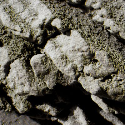 Madreporic-like Surface with Martian Moss - Sol 276 (Superdefinition; credits: Dr G. Barca)
nessun commento
Parole chiave: Microscopic Imager - Greenish Dust - Controversial