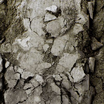 Dry Terrain?!? - Sol 314 (Superdefinition + MULTISPECTRUM; credits: Dr G. Barca & Lunexit)
nessun commento
Parole chiave: Microscopic Imager - Disturbed Soil