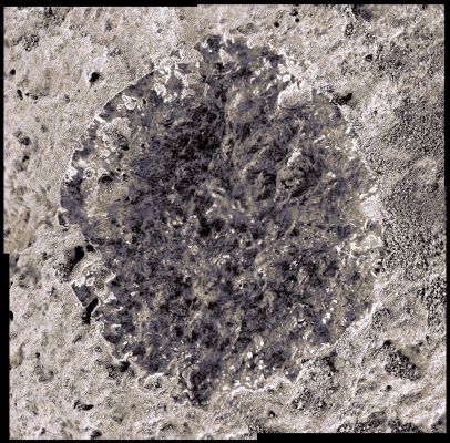Subsurface Ice or just a Quartz-like Cristal? (Natural Colors; credits: Dr M. Faccin)
nessun commento
Parole chiave: Microscopic Imager - Controversial