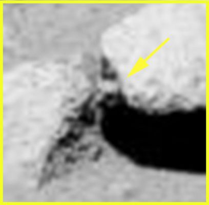 Xenomorph? (EDM n. 1; credits: Ivana Tognoloni)
Ottimo EDM, ma difficile da commentare senza che si inizi ad aprire la strrada ad ipotesi che, a ben guardare, superano di gran lunga la nostra immaginazione...
Parole chiave: Martian Surface - Extremely Controversial Surface Feature
