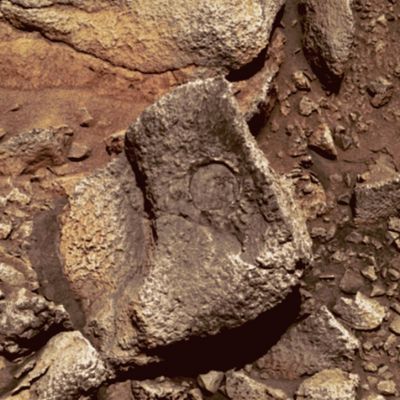 The "Mark" - Sol 419 (possible True Colors; credits: Dr G. Barca & Lunar Explorer Italia)
nessun commento
Parole chiave: Martian Surface - Rocks and Outcrops