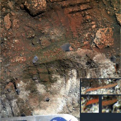 Martian Moss...and "something" else - Sol 426 (true colors; credits: Dr M. Faccin)
Ed infine - ad abundantiam - qui non abbiamo solo da ragionare sulla problematica dei possibili Muschi Marziani, ma anche sul "che cosa" potrebbe rappresentare il dettaglio estrapolato da questo incredibile frame e quindi magnificato (in basso a Dx) dal Dr Faccin...

Su Marte - come sulla Terra, in fondo... - "Gli esami e le sorprese non finiscono davvero mai"!...
Parole chiave: Martian Surface - Possible Martian Moss and Artifact - Controversial