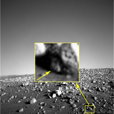 Local Observer... - Sol 442 (CTX Frame - additional process. by Ivana Tognoloni - Lunexit Team)
Si dice che le "coincidenze" non esistano e che comunque, qualora esistessero, si tratterebbe di vere e proprie "Anomalìe". 
Bene. Se questa premessa è vera, allora - ed una volta di più - dobbiamo confermare che la Superficie di Marte è RICCHISSIMA di Anomalìe. 

Anomalìe che sono - per di più - fra loro AFFINI ed ormai quasi costantemente RICORRENTI. 

Quante volte infatti - e diciamo a cominciare dall'ormai famoso (si fa per dire...) "Topo Marziano" - abbiamo avuto occasione di scovare dei frames nei quali è stato possibile identificare delle "forme" che, dall'interno di rocce apparentemente cave e/o dal di sotto di pietre semi-sollevate (si tratta, globalmente parlando, delle cosiddette "Pseudo-Rocce Marziane" o "Gusci"), sembrano fuoriuscire dal sottosuolo (più correttamente: dalla sub-superficie) ed "affacciarsi", curiose, verso l'esterno? 

Si tratta sempre e soltanto di "sviste", di "interpretazioni ingannevoli della realtà", di "pareidolia" oppure - ed infine (non sempre, ma forse in qualche caso si) - di "Entità Locali" (scusateci, ma non troviamo parola migliore per esprimere il concetto) che, in qualche modo e per qualche motivo, mostrano "interesse" verso il robot semovente che, lentamente e goffamente, passa loro accanto (o sopra!) e poi, con il suo ronzìo ed il suo movimento, le "disturba"?
Chi (NASA a parte) può essere ASSOLUTAMENTE CERTO che non vi sia nulla di "vivo" su Marte, ancora oggi?

Un particolare ringraziamento per questa nuova (e sempre affascinante) possibile Scoperta, alla nostra Amica e Senior Partner, Ivana Tognoloni.
Parole chiave: Martian Surface - Controversial Surface Feature - "The Squirrel"