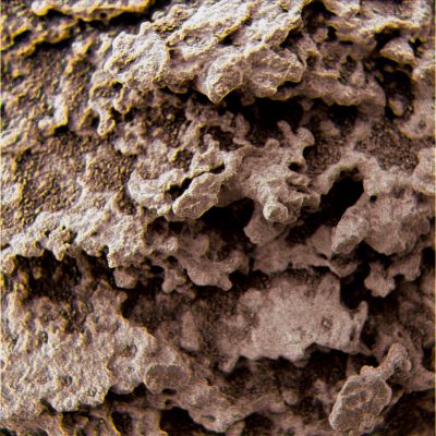 Madreporic-like Surface - Sol 470 (Superdefinition; credits: Dr G. Barca)
nessun commento
Parole chiave: Microscopic Imager - Possible Fossilized Medrepore