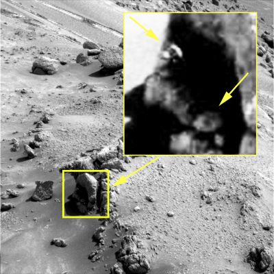 Small-Face and a Snake-like Surface Feature near Spirit - Sol 485 (credits: Ivana Tognoloni - Lunexit Team)
Dalla nostra sempre bravissima ed immaginifica Amica e Partner, Ivana Tognoloni, due curiose (anzi: curiosissime!) Surface Features incontrate da Spirit ancora "all'alba" del suo viaggio. 
I nicknames che abbiamo dato a questi due bizzarri dettagli superficiali sono - guardate gli EDM per credere! - del tutto autoesplicativi.
Nella realtà, mentre la prima figura (Small-Face) ci sembra un evidente - ancorchè affascinante - gioco di luci ed ombre, la seconda (Snake-like) rimane inquietante e, come al solito, indefinibile.

Si tratta dunque di rocce dalle forme bizzarre, o magari di "fakes" (aberrazioni generatesi durante la ricostruzione di un paesaggio "virtuale" - ergo saremmo daventi a delle creazioni operate dalla mente di un supercomputer) oppure - chissà - siamo davanti a "Qualcosa" di reale, di NON-minerale e, per definizione, di "Alieno"?

Le immagini le avete (centinaia, oltre a questa e relativi EDM), le speculazioni e le teorie, anche. Ora dovete decidere Voi...

Un grazie di Cuore e Complimenti - as usual - ad Ivana Tognoloni per i suoi contributi: sempre pieni di mistero e, purtroppo, di enigmi irrisolvibili...
Parole chiave: Martian Surface - Controversial