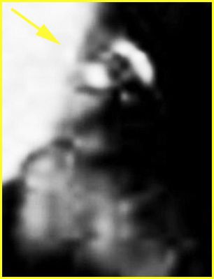 Small-Face and a Snake-like Surface Feature near Spirit - Sol 485 (EDM n.2 - credits: Ivana Tognoloni - Lunexit Team)
nessun commento
Parole chiave: Martian Surface - Controversial