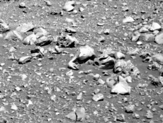 Martian "Boa" - Sol 527 (detail mgnf; credits: Dr Gianluigi Barca)
Un "sasso" che presenta una sorta di "braccio laterale" (alla sua Dx, Sx dell'Osservatore) che pare dipartirsi dal suo stesso "corpo" principale e che poi, ritorcendosi su se stesso, si risolve in una postura ad angolo, la cui porzione terminale evidenzia un foro (tipo "occhio") ed una fessurazione (tipo "bocca).

Stiamo scherzando? No. Guardate bene e poi andiamo a vedere l'ultimo extra-detail mgnf...
Parole chiave: Martian Surface - Anomalous Surface Feature - The Boa