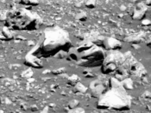 Martian "Boa" - Sol 527 (extra-detail mgnf; credits: Dr Gianluigi Barca)
Allora: lo vedete il "Martian Boa"? 

ATTENZIONE: almeno per questa volta, non ricadiamo nel "malinteso" del "Topo Marziano". 
Noi usiamo Creature Terrestri come paragone per trovare una similitudine la quale - e noi siamo i primi a dirlo - NON HA (BIOLOGICAMENTE) SENSO ALCUNO! 
Essa serve solo ad "aiutare" il Lettore a "vedere" la Stranezza così come la vediamo noi. E perchè questo? Perchè, parlando un medesimo linguaggio e condividendo un analogo paragone, ci si capisce meglio. Sempre.
La roccia "Boa" ha una configurazione superficiale ASSURDA per qualsiasi standard terrestre noto e comune. 
Il bravissimo Dr Barca l'ha vista ed isolata. Noi, adesso, Ve la proponiamo per discuterla. Tutto qui.

La domanda che ci dobbiamo porre TUTTI, ad ogni modo, è questa: ma come è possibile che una simile "assurdità" (da tantissimi punti di vista...) sia stata vista, isolata e discussa, qui ed ora, da noi, poveri sconosciuti, e sia "sfuggita" al rimanente 99,99% di Ricercatori, Scienziati, Cultori della Materia ed Appassionati vari (ergo a milioni di Osservatori, in larga misura dotati di strumentazione - in pratica - ed esperienza - in teoria - di gran lunga superiore alla nostra)? Come è mai possibile?

Abbiamo le "traveggole" solo noi, oppure gli "altri" proprio non vedono?

Volete la nostra opinione (in fondo già espressa, in passato, sebbene in contesti e frangenti un pò diversi)? La nostra opinione è che QUANDO SI SA "CHE COSA" CERCARE, SI FINISCE SEMPRE ED INEVITABILMENTE CON IL (VEDERLO E) TROVARLO.

Ma quando "si brancola nel buio", allora diventa difficile tutto. Anche trovare il terreno sul quale ci si muove...sebbene esso se ne stia tranquillo sotto i nostri piedi.

Ed ancora una volta, dopo aver ringraziato il bravissimo Gigi Barca, Vi diciamo: a Buoni Intenditori...
Parole chiave: Martian Surface - Anomalous Surface Feature - The Boa