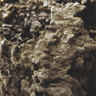 Signs of Martian Moss? - Sol 532 (Superdefinition; credits: Dr G. Barca)
nessun commento
Parole chiave: Microscopic Imager - Greenish Surface - Controversial