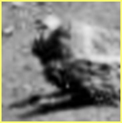 I'm coming out! - Sol 561 (EDM n.2; by Ivana Tognoloni - Lunexit Team)
nessun commento
Parole chiave: Martian Surface - Boulder - Controversial