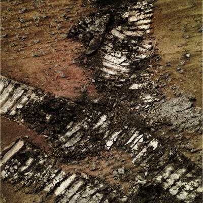 Criss-Crossed Rover Tracks - Sol 583 (possible True Colors; credits: Dr G. Barca)
nessun commento
Parole chiave: Martian Surface - Rover Tracks