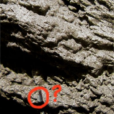 Image artifact or a "Martian Butterfly"? - Sol 633 (Superdefinition; credits: Dr G. Barca)
...Forse si tratta solo di un image artifact derivato dal nostro processo di Superdefinizione...Ma va detto che il particolare è, quanto meno, intrigante!

E complimenti (GRANDI!) al Dr Barca!
Parole chiave: Microscopic Imager - Highly Controversial Feature