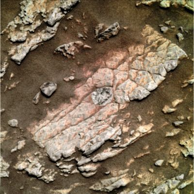 Colourful Layers - Sol 690 (Possible True Colors; credits: Dr G. Barca)
nessun commento
Parole chiave: Martian Surface - Layered Rocks