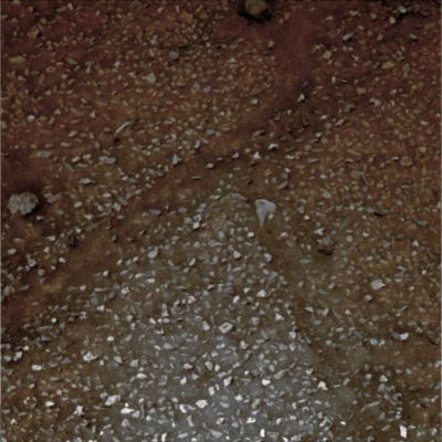 These ARE NOT Rover Tracks! - Sol 692 (Natural Colors; credits: Dr M. Faccin & Lunar Explorer Italia)
Caption NASA:"Left PanCam Non-linearized Full frame EDR acquired on Sol 692 of Spirit's Mission to Gusev Crater at approx. 11:24:21 MLT.
Camera commanded to use Filter 5 (535 nm)". 
Parole chiave: Martian Surface - Controversial Surface Feature