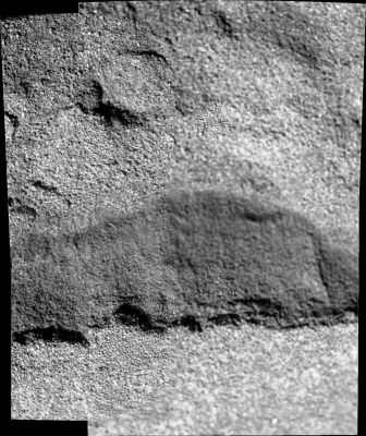 The VERY strange Surface of Gusev Crater - Sol 707 (an Image-Mosaic by Dr Gianluigi Barca - Lunexit Team)
nessun commento
Parole chiave: Martian Surface - Controversial Surface Feature - "The Beehive"
