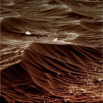 The ripples and dunes of El Dorado (8) - Sol 708 (MULTISPECTRUM; credits: Lunexit)
nessun commento
Parole chiave: Martian Surface - Dunes - El Dorado