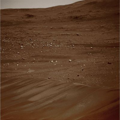 Dunefield and Rocks - Sol 727 (Natural Colors; credits: Lunar Explorer Italia)
nessun commento
Parole chiave: Martian Surface - Dunes and Rocks