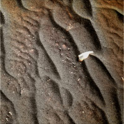 Interesting small and bright Rock with colourful mini-Ripples - Sol 785 (possible True Colors; credits: Dr G. Barca)
nessun commento
Parole chiave: Martian Surface - Sand and a bright Rock