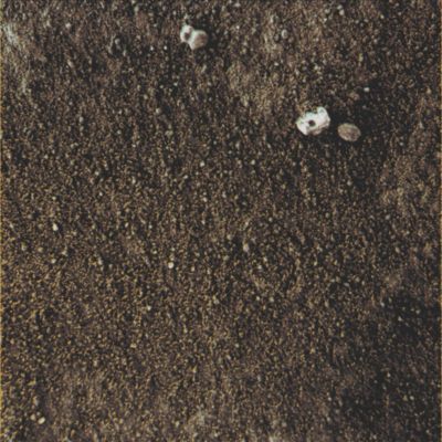 Greenish "soil" and white "opalescent" pebbles - Sol 822 (Superdefinition + MULTISPECTRUM; credits: Dr G. Barca & Lunexit)
nessun commento
Parole chiave: Microscopic Imager - Greenish Soil and Pebbles - Controversial