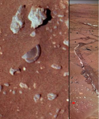 Explain THIS! - Sol 856 (EDM n.1 - Natural Colors; credits: Dr Marco Faccin)
Sappiamo già quello che in tanti diranno e scriveranno:"...ma che cos'è? E' un dettaglio che non si capisce...è troppo piccolo...è indefinito...non spiega nulla e non dimostra nulla...".

Si, certo. 
E sapete perchè? Perchè la "Gente" (al pari degli Anomaly Hunters della Domenica...) vuole essere stupita e, per credere, vuole vedere - rectius: DEVE VEDERE! - qualcosa di GRANDE: una Piramide - o magari un Gruppo di Piramidi! -, un Anfiteatro, un Cosmodromo, una "Faccia" che guarda verso il Cielo o magari una "Parabola" che punta verso il nulla...

Si, è vero: si cerca la "Prova Grande", perchè è "pensare comune" che SOLO la "Prova Grande" E' la "Prova Inconfutabile".

Ma non funziona così. 

Chi cerca la "Cattedrale" - e questo lo abbiamo già detto e scritto sino alla nausea (più nostra che Vostra, credeteci...) - alla fine, non vuole vedere altro e, anche se incespica e cade sopra un semplice, ma essenziale, "Mattone"...non lo vede!
Non lo considera.
Non lo capisce neppure.

Signori: QUESTO (a nostro modesto, ma informato, parere) è il MATTONE!

Guardatelo, studiatelo e, se siete DAVVERO bravi, spiegatelo e spiegatecelo.

Un plauso al Grande Marco Faccin
Parole chiave: Martian Surface - Extremely Controversial Surface Feature - The Locket