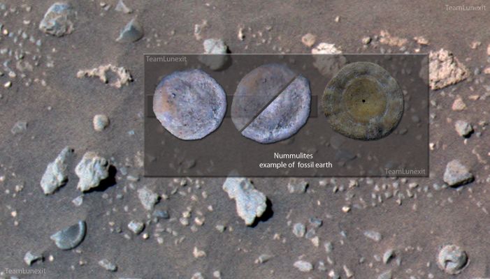 Could this "Thing" actually be a "Fossil"? - Sol 856 (CTX Frame; credits: Dr Marco Faccin)
nessun commento
Parole chiave: Martian Surface - Extremely Controversial Surface Feature - The Locket