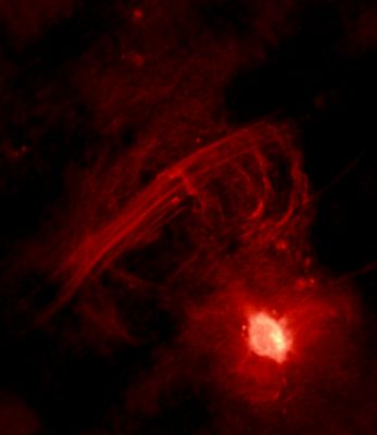The Galactic Center Radio Arc
"...Catilinam quocumque in populo videas, quocumque sub axe..."

(Giovenale)

"...Di gente come Catilina ne puoi vedere in ogni popolo e sotto ogni cielo..." (trad. libera)
Parole chiave: From Space Images - Chandra X-Ray Radio telescope