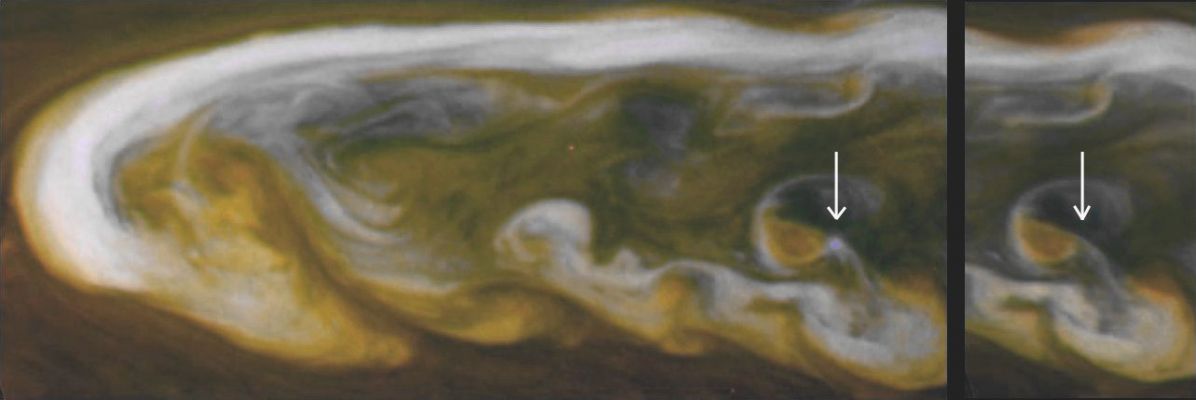 Saturnian Lightning
These false-color mosaics from NASA's Cassini spacecraft captured a Lightning striking within the huge storm that encircled Saturn's Northern Hemisphere for much of the AD 2011. The larger mosaic on the left of the panel shows the Lightning Flash, which appears as a blueish dot. The smaller mosaic on the right is composed of images taken 30 minutes later, and the Lightning is (let's say OBVIOUSLY...) not flashing at that time.
The white arrow points to the location where the Lightning occurred in the Clouds. The Optical Energy of this and other Flashes on Saturn is comparable to the strongest of the flashes on Earth. The flash is approx. 120 miles (about 200 Km) long when it exits the Clouds Tops. From this, scientists deduced that the Lightning Bolts originated in the Clouds deeper down in Saturn's Atmosphere where Water Droplets freeze. This is the analogous Region of the Atmosphere where Lightnings are created on Earth.
This Lightning Flash appeared only in the filter sensitive to Blue Visible Light, and the images were enhanced to increase the visibility of the Lightning. Images taken using red, green and blue spectral filters are usually combined to create a Natural Color View. Since Visible Red-Light images were not available, images taken using a spectral filter sensitive to wavelengths of Near-InfraRed Light centered at 752 nanometers were used in place of red. Also, the blue filter image was enhanced to increase the visibility of the lightning. The result is a type (as a matter of fact, just one of the VERY many...) of False Color Image.

The images were obtained with the Cassini Spacecraft narrow-angle camera on March 6, 2011, at a distance of approximately 2 MMs (such as about 3,3 MKM) from Saturn and at a Sun-Saturn-Spacecraft, or Phase, Angle of 83°. These mosaics are simple Cylindrical Map Projections, defined such that a square pixel subtends equal intervals of Latitude and Longitude. At higher Latitudes, the pixel size in the North-South direction remains the same, but the pixel size (in terms of physical extent on the Planet) in the East-West direction becomes smaller. The pixel size is set at the Equator, where the distances along the sides are equal. This map has a pixel size of approx. 12 miles (such as about 20 Km) at the Equator.
Parole chiave: Saturn - Upper Atmosphere - Lightning