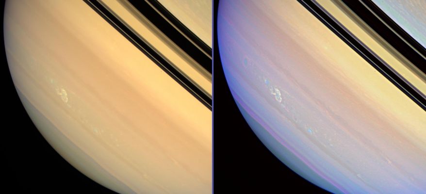Electrical Storm on Saturn's Upper Troposphere (approx. true colors; credits: NASA)
Caption NASA:"It is no Great Red Spot, but these two side-by-side views show the longest-lived electrical storm yet observed on Saturn by NASA's Cassini Spacecraft. 
The views were acquired more than 3 months after the storm was first detected from its lightning-produced radio discharges on Nov. 27, 2007. 
Cassini imaging scientists believe the storm to be a vertically extended disturbance that penetrates from Saturn's Lower to Upper Troposphere. 

The view at left was created by combining images taken using red, green and blue spectral filters, and shows Saturn in colors that approximate what the human eye would see. The storm stands out with greater clarity in the sharpened, enhanced color view at right. This view combines images taken in infrared, green and violet light at 939, 567 and 420 nanometers respectively and represents an expansion of the wavelength region of the electromagnetic spectrum visible to human eyes. This view looks toward the un-illuminated side of the Rings from about 3° above the Ring-Plane. 
Janus (about 181 Km, or approx. 113 miles across) appears as a dark speck just beneath the Rings in both images. 

These images were obtained with the Cassini spacecraft wide-angle camera on March 4, 2008, at a distance of approx. 1,3 MKM (about 800.000 miles) from Saturn. 
Image scale is roughly 74 Km (about 46 miles) per pixel".
Parole chiave: Saturn