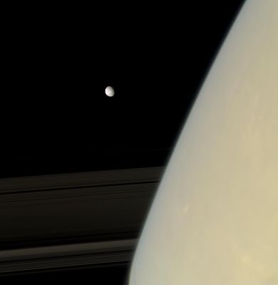 Atmosferic Distortion (natural colors; credits: NASA/JPL/Space Science Institute)
Caption NASA:"Mimas emerges from behind hazy Saturn. The Rings appear (slightly) distorted near the Planet as their image passes through the Upper Atmosphere. 
The limb of Mimas (about 396 Km, or approx. 246 miles across) is slightly flattened on the left side by the rim of the large crater Herschel (see also PIA08278). 

This view looks toward the unilluminated side of the Rings from about 9° above the Ring-Plane. Images taken using red, green and blue spectral filters were combined to create this natural color view. The images were acquired with the Cassini Spacecraft narrow-angle camera on Nov. 30, 2007 at a distance of approx. 1,7 MKM (such as about 1,1 MMs) from Mimas. 
Image scale is roughly 10 Km (about 6 miles) per pixel on Mimas".
Parole chiave: Saturn and Mimas