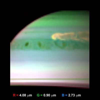 Large Ammonia Crystals in Saturn Storm (False Colors; credits: NASA/JPL-University of Arizona)
Caption NASA:"This false-color InfraRed image, obtained by NASA's Cassini Spacecraft, shows clouds of large Ammonia ice particles dredged up by a powerful storm in Saturn's Northern Hemisphere. Large updrafts dragged Ammonia gas upward more than 30 miles (approx. 50 Km) from below. The Ammonia then condensed into large crystals in the frigid Upper Atmosphere. This storm is the most violent ever observed at Saturn by an orbiting Spacecraft.

Cassini's Visual and InfraRed Mapping Spectrometer obtained these images on Feb. 24, 2011. Scientists colorized the image by assigning red to brightness detected from the 4.08-micron wavelength, green to brightness from the 0.90-micron wavelength, and blue to brightness from the 2.73-micron wavelength. Large particles (red) reflect Sunlight well at 4.08 microns. Particles at high altitude (green) reflect Sunlight well at 0.9 microns. Particles comprised of Ammonia -- especially large ones -- do not reflect 2.73-micron sunlight well, but instead absorb light at this wavelength. 
The storm here shows up as yellow, demonstrating that it has a large signal in both red and green colors. This indicates the cloud has large particles and extends upward to relatively high altitude. In addition, the lack of blue in the feature indicates that the storm cloud has a substantial component of Ammonia Crystals. The head of the storm is particularly rich in such particles, as created by powerful updrafts of Ammonia gas from depth in the throes of Saturn's thunderstorm".
Parole chiave: Saturn