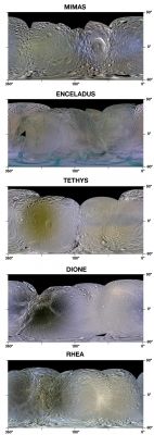 The (enhanced) "True Colors" of the Saturninan Inner Moons
This set of enhanced-color maps made from data obtained by NASA's Cassini Spacecraft show Saturn's moons Mimas, Enceladus, Tethys, Dione and Rhea. The global maps show the colorful splotches and bands on the icy moons' Surfaces that scientists believe came from bombardments large and small.

Icy material sprayed by Enceladus, which makes up the misty E-Ring around Saturn, appears to leave a brighter, blue signature. 
The pattern of bluish material on Enceladus, for example, indicates that the moon is covered by the fallback of its own "breath". Enceladean spray also appears to splatter the parts of Tethys, Dione and Rhea that run into the spray head-on in their orbits around Saturn. But scientists are still puzzling over the reason why the Enceladean Frost on the Leading Hemisphere of these moons bears a coral-colored, rather than bluish, tint.

On Tethys, Dione and Rhea, darker, rust-colored reddish hues paint the entire Trailing Hemisphere, or the side that faces backward in the orbit around Saturn. The reddish hues are thought to be caused by tiny particle strikes from circulating Plasma, a gas-like state of matter so hot that atoms split into an ion and an electron, in Saturn's magnetic environment. Tiny, iron-rich "nanoparticles" may also be involved, based on earlier analyses by the Cassini Visual and InfraRed Mapping Spectrometer Team.

Mimas is touched by the tint of Enceladean spray, but it appears on the trailing side of Mimas. This probably occurs because it orbits inside the path of Enceladus, or closer to Saturn, than Tethys, Dione and Rhea.

Mimas and Tethys also sport a dark, bluish band. 
The bands match patterns one might expect if their Surface were being irradiated by high-energy electrons that drift in a direction opposite to the flow of Plasma in the magnetic bubble around Saturn. Scientists are still figuring out exactly what is happening on Mimas, but the electrons appear to be zapping the Surface in a way that matches the Pac-Man pattern detected by Cassini's Composite InfraRed Spectrometer.

On Rhea, a unique chain of bluish splotches appears where fresh, bluish ice has been exposed on older crater rims. Cassini imaging scientists recently reported that they did not see evidence in Cassini images of a ring around Rhea. However, scientists analyzing these new enhanced-color maps suggest the crash of orbiting material, perhaps a ring, to the surface of Rhea in the not too distant past, could explain the bluish splotches.

These new maps were made by processing raw images obtained by Cassini's imaging cameras from 2004 to 2009. Scientists analyzed frames shot through Visible-Light, UltraViolet and InfraRed filters. The processing enhanced our views of these moons beyond what could be seen by the human eye.

The maps are in a simple cylindrical projection from 90° South Latitude (bottom) to 90° North Latitude (top). From left to right, they cover 360° to - 2° West Longitude. The Leading Hemisphere appears on the right side of each map and Trailing Hemisphere appears on the left.
Parole chiave: Saturnian Moons - Inner Moons