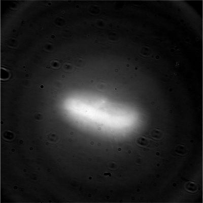"?"
nessun commento
Parole chiave: Saturnian Sky