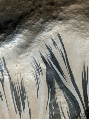 Slope Streaks (Natural Colors; credits: Dr Paolo C. Fienga - Lunexit Team)
nessun commento
Parole chiave: Mars from orbit - Slope Streaks