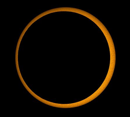Millennium's Annular Solar Eclipse
Da "NASA - Picture of the Day" del giorno 22 Gennaio 2010:"The Moon's shadow raced across planet Earth on January 15, 2010. 
Observers within the central shadow track were able to witness an Annular Solar Eclipse as the Moon's apparent size was too small to completely cover the Sun. A visually dramatic "Ring of Fire", the annular phase lasted up to 11' and 8", depending on location: the longest Annular Solar Eclipse for the next 1000 years. 
This picture of the Moon's silhouette just before mid-eclipse was taken within the eclipse path from the city of Kanyakumari at the southern tip of India. The telescopic image was made through a filter that blocks most Visible Light, but still transmits light from Hydrogen Atoms. 
As a result, detailed mottling, or granulation, caused by heat convection in the Sun's Atmosphere can be seen around the dark Lunar Disk".
Parole chiave: The Sun from Earth