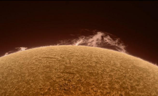 Solar Prominence
Caption NASA, da "NASA - Picture of the Day" del giorno 23 Marzo 2010:"Dramatic Prominences can sometimes be seen looming just beyond the edge of the Sun. 
Such was the case last week as a Giant Prominence, visible above on the right, highlighted a Sun showing increased activity as it comes off an unusually quiet Solar Minimum. A changing carpet of hot gas is visible in the Chromosphere of the Sun in the above image taken in a very specific color of light emitted by Hydrogen. 

A Solar Prominence is a cloud of Solar Gas held just above the Surface by the Sun's Magnetic Field. The Earth would easily fit below the Prominence on the right. Although very hot, Prominences typically appear dark when viewed against the Sun, since they are slightly cooler than the Surface. 
A quiescent Prominence typically lasts about a month, and may erupt in a Coronal Mass Ejection (CME) expelling hot gas into the Solar System. The next day, the same prominence looked slightly different".
Parole chiave: The Sun from Earth
