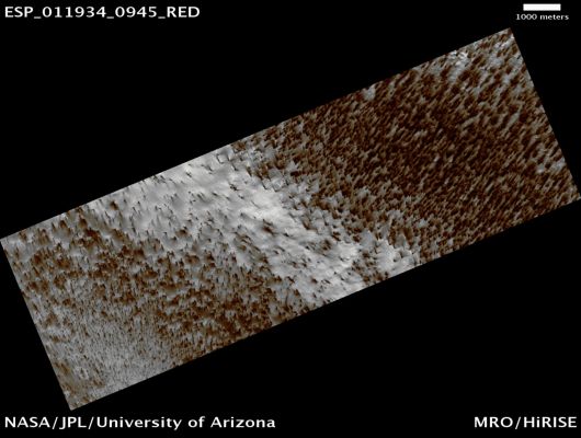 South Polar Fans (Natural Colors; credits: Lunar Explorer Italia)
Caption NASA:"Every Winter, Mars' Polar Region is covered with a layer of seasonal CO2 (Carbon Dioxide ice - a.k.a. "dry ice"). In the Spring, jets of gas carry dust from the ground up through openings in the ice. 
The dust gets carried downwind by the prevailing wind and falls on top of the Seasonal Ice Layer in a fan-shaped deposit. Many jets appear to be active at the same time since numerous Fans are all deposited in the same direction. 

This image from the High Resolution Imaging Science Experiment (HiRISE) camera on NASA's Mars Reconnaissance Orbiter appears to show several times at which jets were active. At the top of this image the Fans are oriented in one direction while at the bottom they are going in a different direction. This suggests that as the ice layer thins, a set of gas jets becomes active, they die down, then further away another set starts up at a later time with a different prevailing wind direction. 
This is a reduced-resolution image from the HiRISE Observation observation catalogued as ESP_011934_0945, taken on Feb. 11, 2009. The observation is centered at 85,4° South Latitude and 104,0° East Longitude. 

The image was taken at a Local Mars Time of 18:12 and the scene is illuminated from the West, with a Solar Incidence Angle of 79° (meaning that the Sun was about 11° above the Local Horizon). 
At a Solar Longitude of 207,9°, the season on Mars is Northern Autumn".
Parole chiave: Mars from orbit - South Polar Regions - Fans