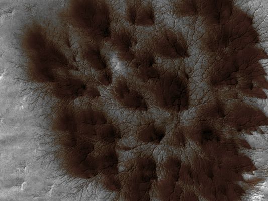 Starburst Spiders (Natural Colors; credits: Lunar Explorer Italia)
Caption NASA:"Mars' Seasonal Cap of Carbon Dioxide (CO2) ice has eroded many beautiful terrains as it sublimates (meaning that goes directly from ice to vapor) every Spring. 
In the region where the High Resolution Imaging Science Experiment (HiRISE) camera on NASA's Mars Reconnaissance Orbiter took this image, we see Troughs (---> canali) that form a Starburst Pattern (---> disegno a forma di stella che esplode). In other areas these Radial Troughs have been refered to as "Spiders", simply because of their shape. In this Region the pattern looks more dendritic as channels branch out numerous times as they get further from the center. 

The Troughs are believed to be formed by gas flowing beneath the seasonal ice to openings where the gas escapes, carrying along dust from the surface below. The dust falls to the surface of the ice in fan-shaped deposits. 
This image, covering an area of about 1 Km (approx. 0,6 mile) across, is a portion of the HiRISE observation catalogued as ESP_011842_0980, and taken on Feb. 4, 2009. 
The observation is centered at 81,8° South Latitude and 76,2° East Longitude. MLT was 16:56 and the scene is illuminated from the West with a Solar Incidence Angle of 78° (meaning that the Sun was about 12° above the Local Horizon). 
At a Solar Longitude of 203,6°, the season on Mars is Northern Autumn".
Parole chiave: Mars from orbit - South Polar Regions - Spiders