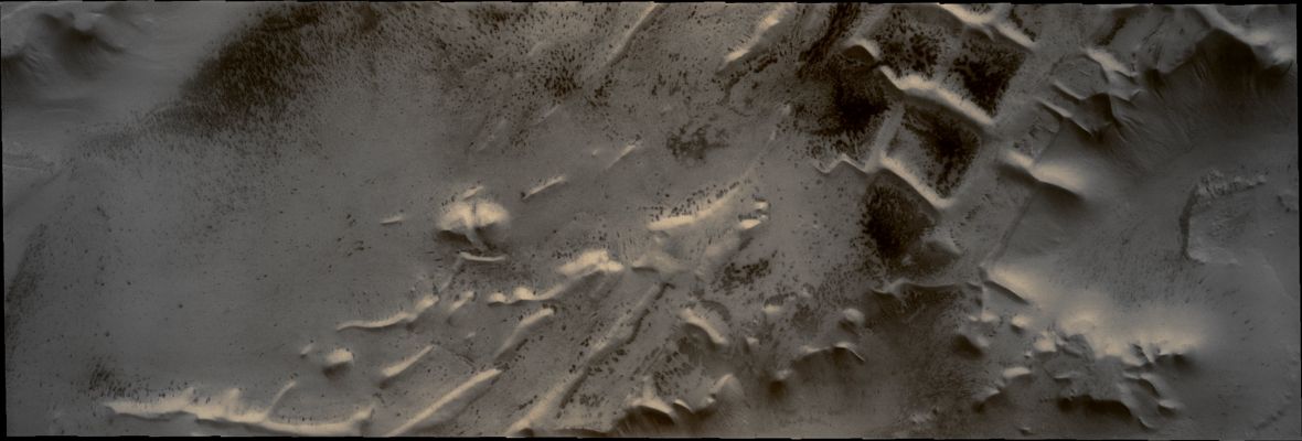 Angustus Labyrintus - a.k.a.: Inca City (Natural Colors; credits for the additional process. and color.: Dr Paolo C. Fienga - Lunar Explorer Italia)
Caption NASA:"This VIS image shows a portion of Angustus Labyrinthus, a Region of Intersecting Linear Ridges near the South Pole of Mars".

Coord.: 81,7° South Lat. and 296,8° East Long.
Parole chiave: Mars from orbit - South Polar Regions - Angustus Labyrintus